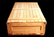 Plywood Case